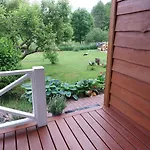 Storchenwiese Wald * Niczonow