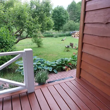 Storchenwiese Wald * Niczonow