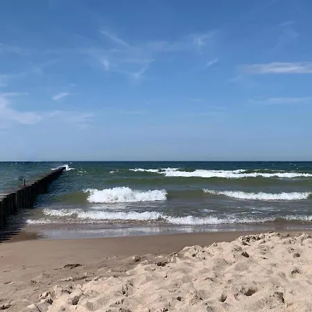 Storchenwiese Wald Dom wakacyjny