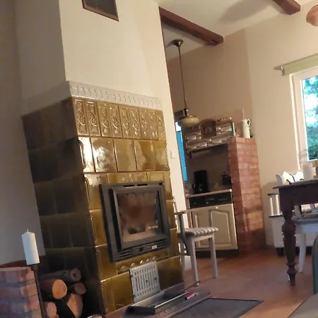 Storchenwiese Wald * Niczonow