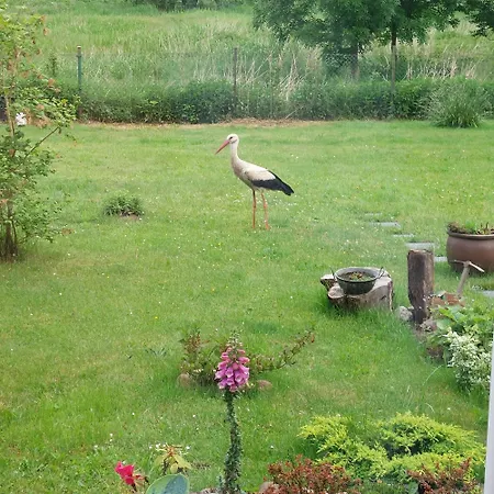 Storchenwiese Wald Сasa de vacaciones *