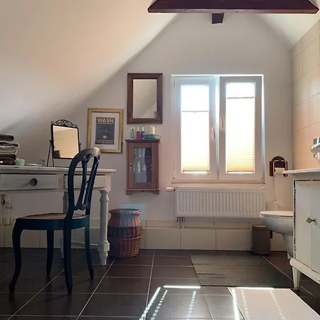 Storchenwiese Wald *