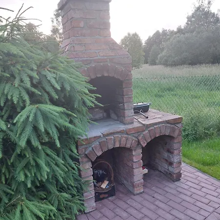 Storchenwiese Wald Niczonow