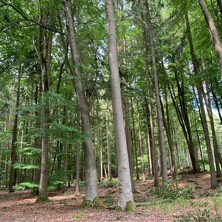 Storchenwiese Wald Сasa de vacaciones