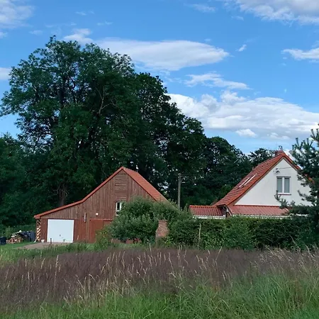 Storchenwiese Wald Dom wakacyjny Niczonow