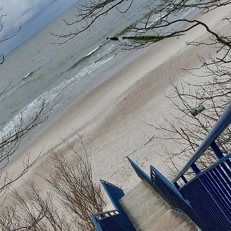 Storchenwiese Wald *