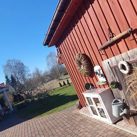 Storchenwiese Wald * Niczonow