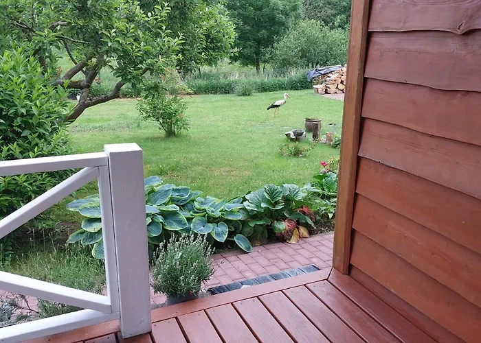 Storchenwiese Wald * Niczonow