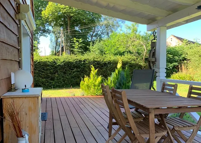 Storchenwiese Wald * Niczonow