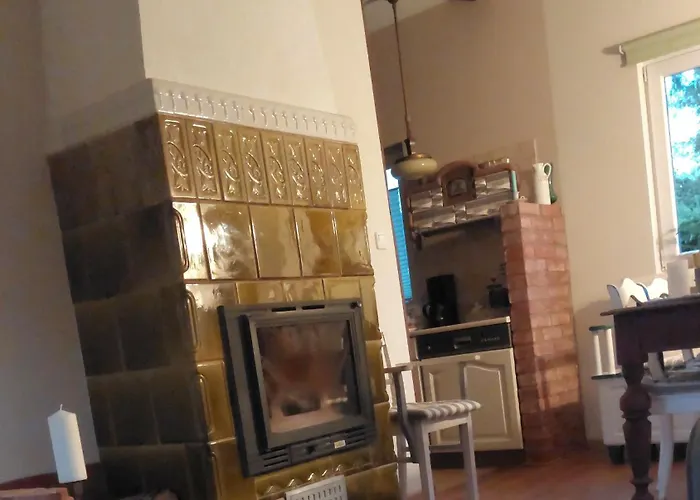 Storchenwiese Wald * Niczonow