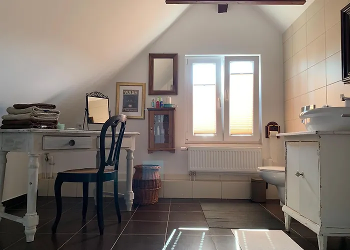 Storchenwiese Wald *