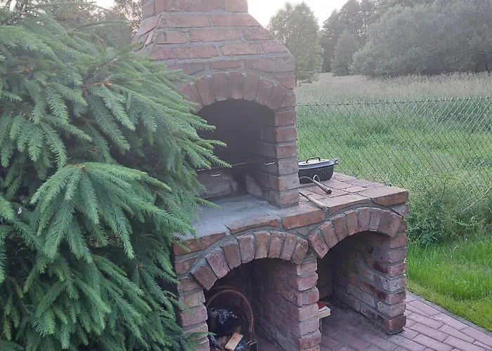 Storchenwiese Wald Niczonow