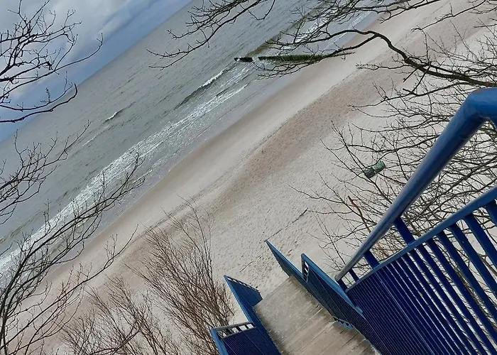 Storchenwiese Wald *